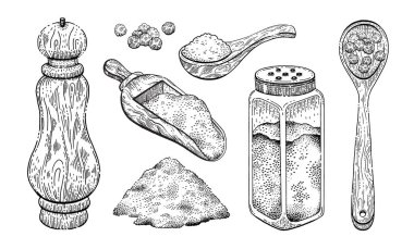 Vector salt pepper illustration. Spice hand drawn vintage sketch. Black pepper and sea salt seasoning isolated design. Powder, spoon, peppercorn mill shaker. Natural food doodle engraving collection