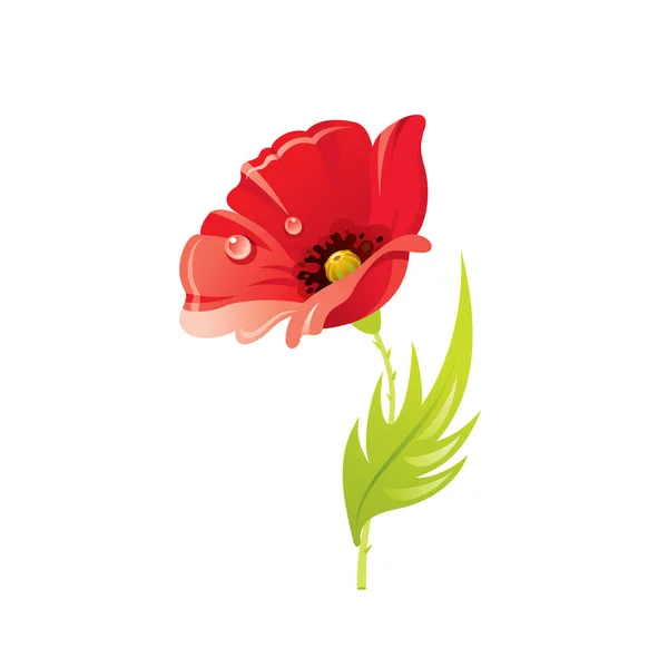 Rote Mohnblume Florales Symbol Realistische Karikatur Niedliche Pflanzenblüte Frühling Sommer — Stockvektor