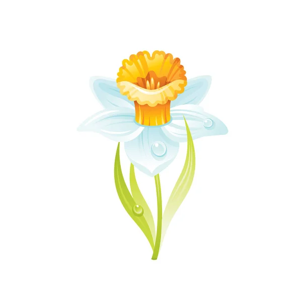 Flor Narciso Daffodil Ícone Floral Desenhos Animados Realistas Bonito Flor — Vetor de Stock