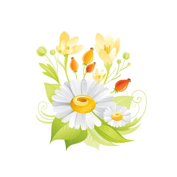 Spring Daisy Crocus Honey Flowers Floral Icon Realistic Cartoon Cute — Stock Vector