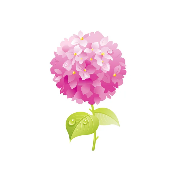 Hortensienblüte Florales Symbol Realistische Karikatur Niedliche Pflanzenblüte Frühling Sommer Gartensymbol — Stockvektor