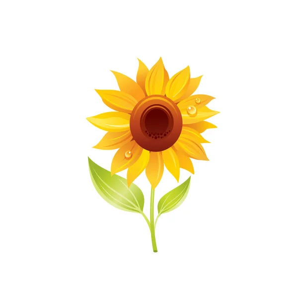 Sonnenblume Florales Symbol Realistische Karikatur Niedliche Pflanzenblüte Frühling Sommer Gartensymbol — Stockvektor