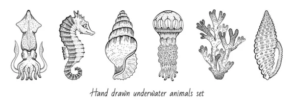 Набор Икон Морских Животных Коралловые Морские Коньки Кальмары Раковины Медузы — стоковый вектор