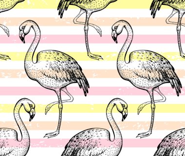Flamingo pürüzsüz desen, el çizimi karalama dokusu. Giysi için tekstil baskısı. El yapımı egzotik pembe kuş, moda grunge çizgileri. El çizimi vektör çizimi beyaz arkaplanda izole edildi