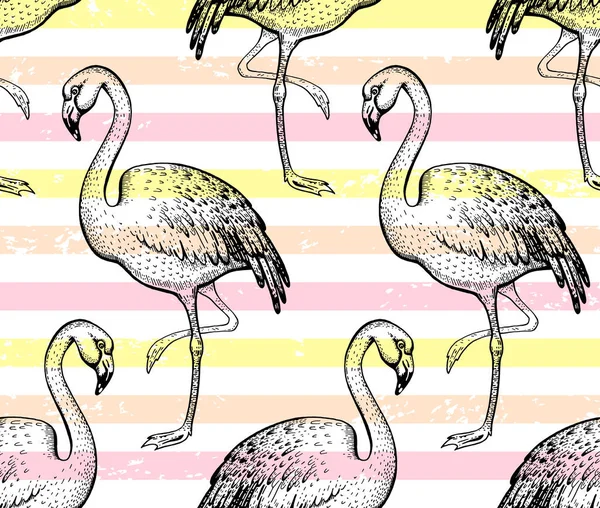 Flamingo Naadloos Patroon Handgetekende Doodle Textuur Textielprint Voor Kleding Handgemaakte — Stockvector