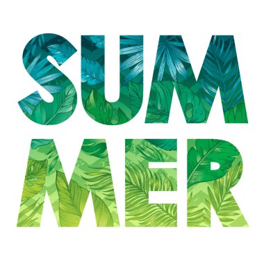 İçinde tropikal el yazısıyla çizilmiş orman bitkileriyle dolu harflerle dolu bir yaz kelimesi. Palmiye ağacının yeşil yapraklarının taslak dokusuna sahip harflerin vektör tipografi tasarımı