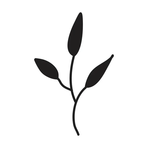 Kézzel Rajzolt Virágos Növény Hagy Művészeti Elemek Készlet Meghívó Üdvözlőlap — Stock Vector