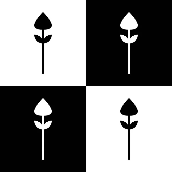 Patrón Floral Inconsútil Vector Flor Forma Doodle Planta Fondo Abstracto — Vector de stock