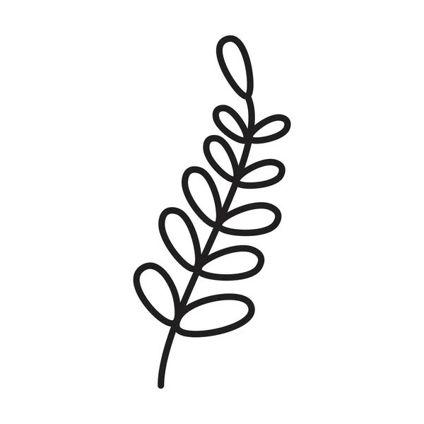 Рука Намальована Квітка Квіткова Рослина Ботанічне Листя Арт Елемент Гліфі — стоковий вектор