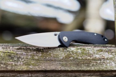 Bir ağacın üzerinde katlanan bir bıçak. Katlanmış çakı. Gün ışığı. Ön görünüm.