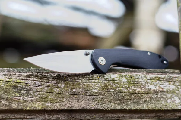Bir ağacın üzerinde katlanan bir bıçak. Katlanmış çakı. Gün ışığı. Ön görünüm.