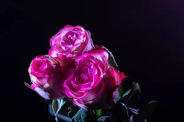 黒い背景に赤いバラの花束。バラの花束の分離. — ストック写真