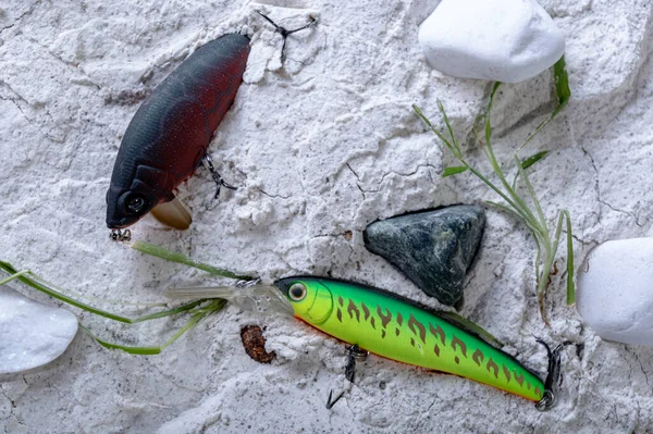 Esche Diverse Pesca Nella Sabbia Wobblers Cattura Pesci Predatori Luoghi — Foto Stock