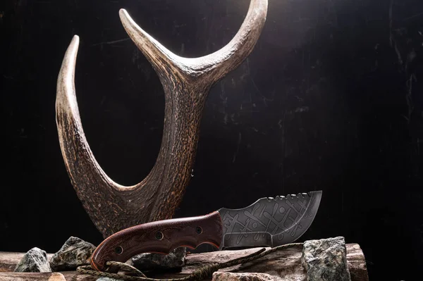 Large Hunting Knife Antler Bushcraft Knife Deer Horn Front View — Foto Stock