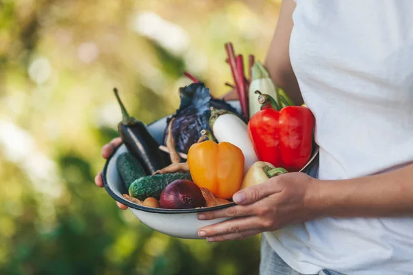 Female Hands Hold Plate Vegetables Home Farming Vitamin Food Grown — Fotografia de Stock