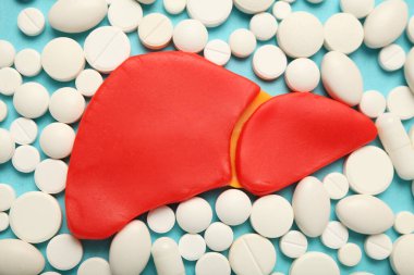 İnsan karaciğer hastalığı, siroz, kronik iltihap. Kanser tedavisi kavramı, hepatit.