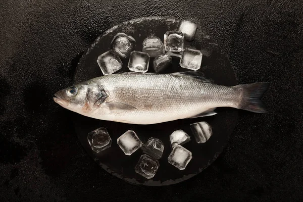 Labrax Fresco Gelo Peixe Marinho Cru Proteína Ómega — Fotografia de Stock