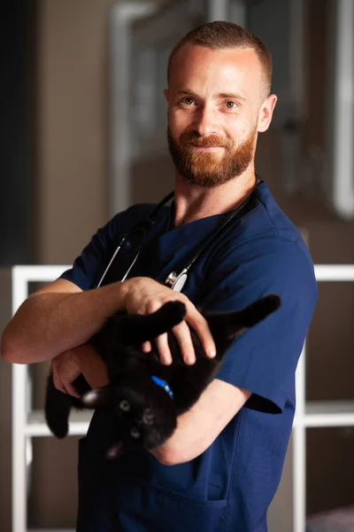 Bearded vet caresses black cat and smiles. Caring for pets.