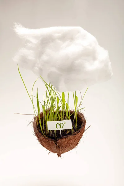 Pericolul Dioxidului Carbon Pentru Ecosistem Biosferă Poluarea Aerului Industrial Schimbările — Fotografie, imagine de stoc
