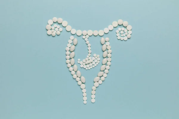 Hamilelik Sonlandırma Hapları Kadın Doğum Kontrolü Kürtaj — Stok fotoğraf