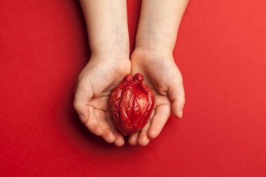 Kalp cerrahisi konsepti, çocuk elleri kırmızı arka planda organ tutar. Hayat kurtarma ve nakil.