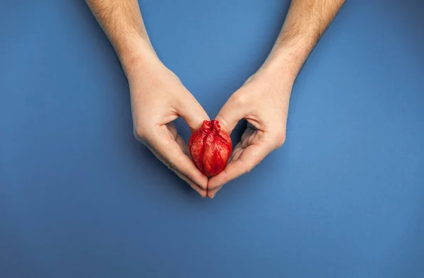 Salvar Vidas Transplante Coração Mãos Segurar Órgão Fundo Azul Conceito — Fotografia de Stock