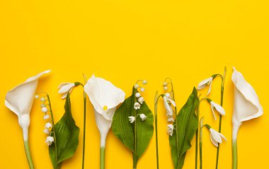 Sarı arkaplanda çiçekler, metin için kopyalama alanı.