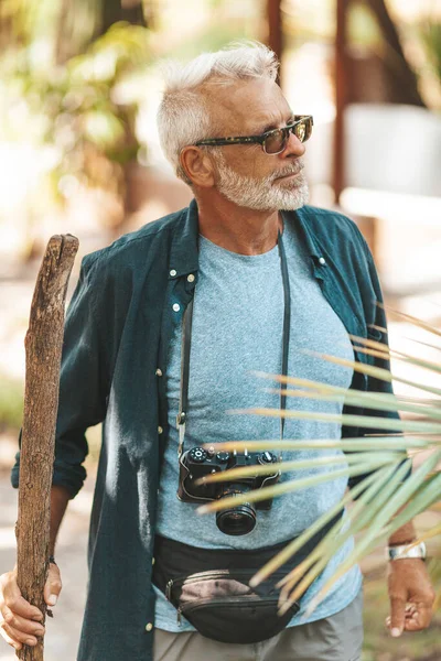 Yaşlı bir adam parkta yürüyor, egzotik bir tatil ve seyahat. Emeklilikte yeni izlenimler, aktif yaşam tarzı.