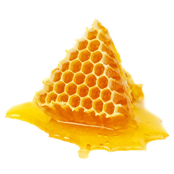 Healing Wild Honeycomb Isolated White Background Sweet Natural Healthy Delicacy — Photo