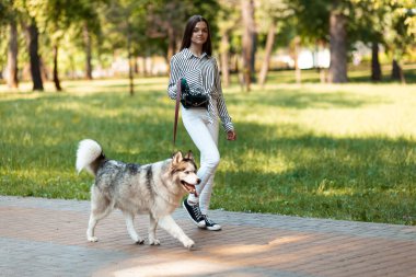Kız parkta köpeği gezdirir. Sibirya Husky.