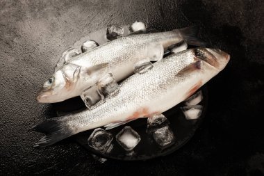 Buzda taze labrax, çiğ deniz balığı. Protein ve omega 3.