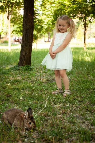 Piccola Bambina Carina Camminare Coniglio Domestico Cura Vita Con Gli — Foto Stock