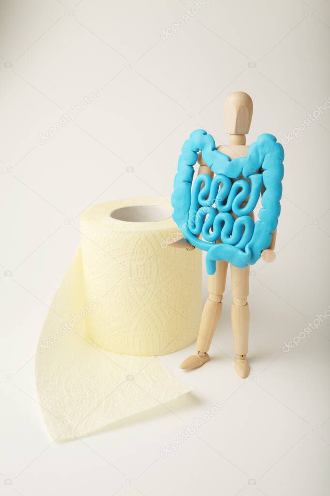 Healthy intestines in hands of human figure. Digestive problems, colic, dysbacteriosis. Toilet paper.