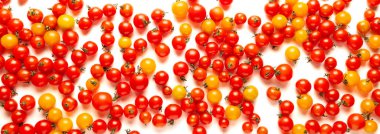 Beyaz arka planda izole edilmiş kırmızı ve sarı domatesler. Taze, canlı organik sebzeler.