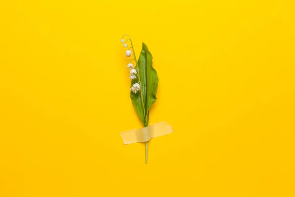 Lily of the valley flower with sticky tape isolated on flat lay yellow background. Minimal spring wedding or birthday gift card. Floral delicate celebration decor.