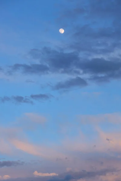The moon and clouds in the evening blue-pink sky, vertically.