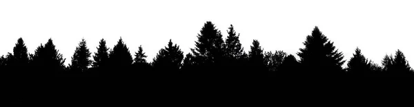 Black forest silhouette cut out on white background, template for design.