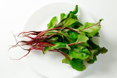 Vejetaryen salatası için taze pancar yaprağı..