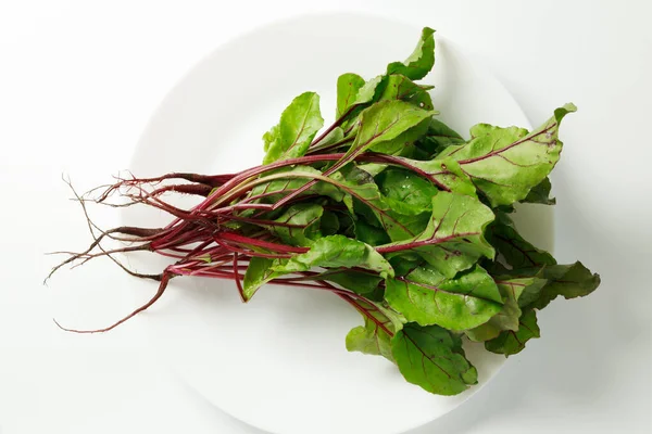 Fresh leaves of a young beetroot for a vegetarian salad.
