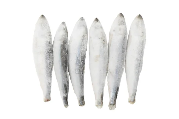 Bevroren Haring Een Witte Achtergrond Zeevissen — Stockfoto