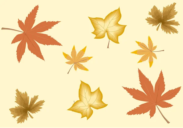 Herbst Trockene Blätter Hintergrund Auf Gelbem Hintergrund — Stockvektor