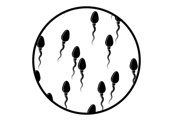 Sperme Étude Étude Nombre Spermatozoïdes Étude Fertilité — Image vectorielle