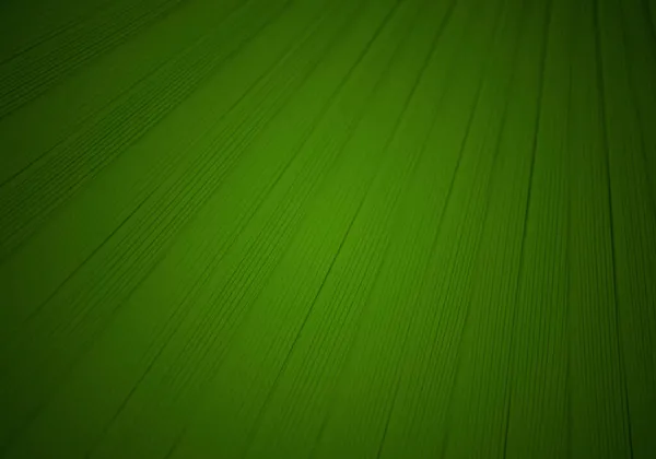 Groene Achtergrond Van Striae Texturen — Stockfoto