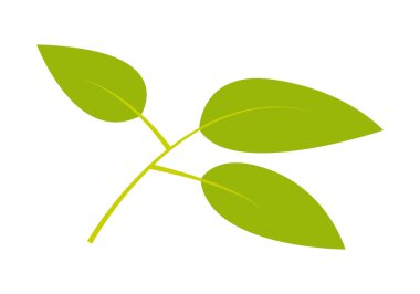 beyaz arkaplanda yeşil yaprak simgesi.