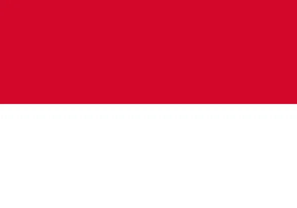 Bandera Indonesia Rojo Blanco — Vector de stock