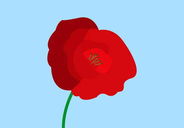 Red Poppy Blue Background — Stock Vector