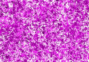 Beyaz arkaplanda Fuchsia yaprakları