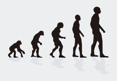 İnsan evriminin siyah silueti.