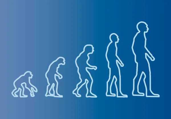Emberi Evolúció Kék Sziluettje — Stock Vector
