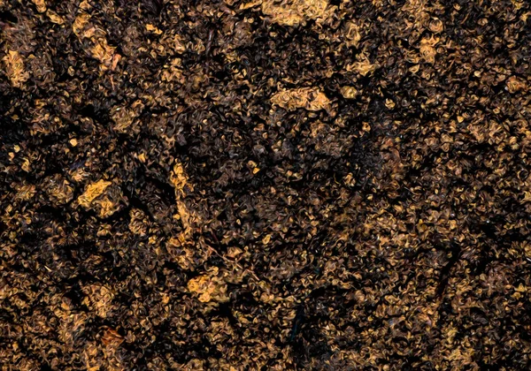 Tarla arazisi boyasında arka plan.